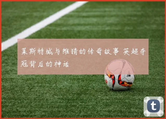 莱斯特城与维猜的传奇故事 英超夺冠背后的神话