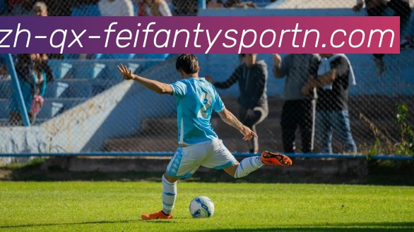 非凡体育平台生态图